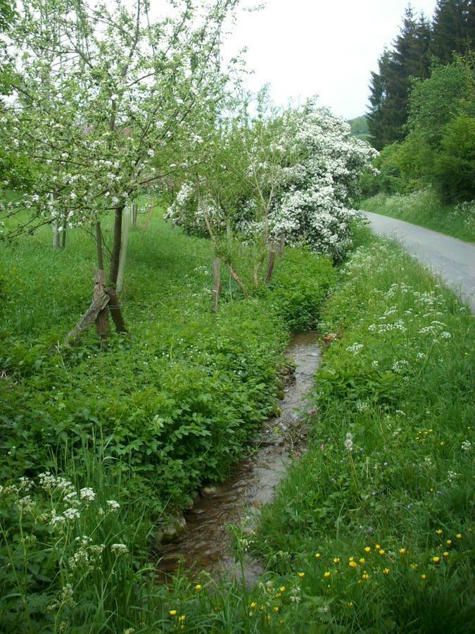 Gasthof Susewind Antfeld Esterno foto